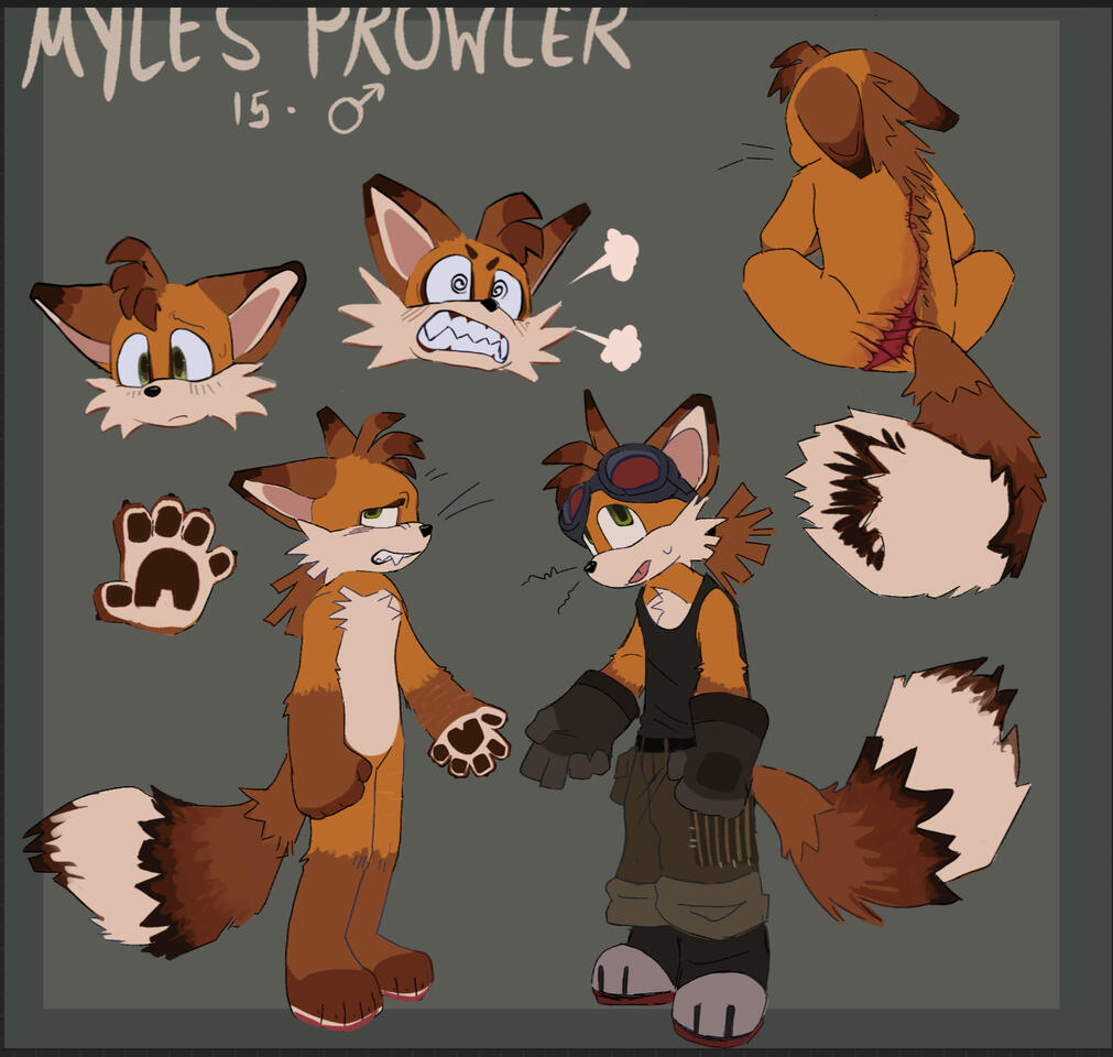 complex ref sheet