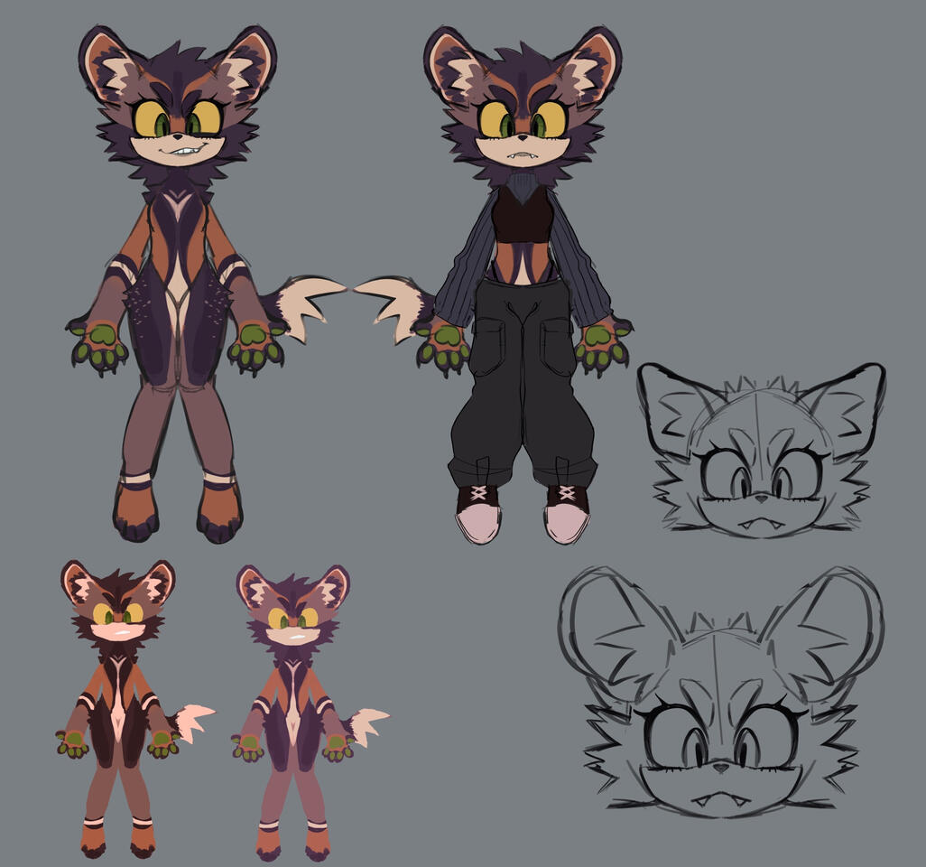 custom/ref sheet